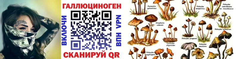 Галлюциногенные грибы мухоморы  blacksprut маркетплейс  Каменск-Уральский 